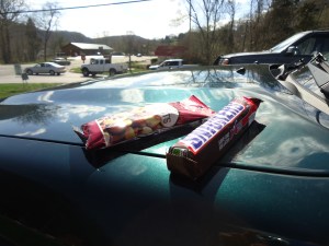 AT-VA Stony Creek to Pearisburg 1