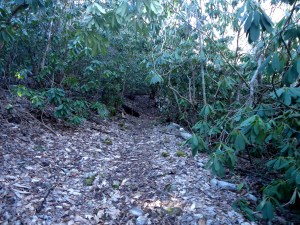 ???????????????????????????????