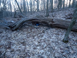 ???????????????????????????????