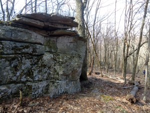 Far right...a thru-hiker!