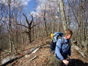 Dirigo on the ridge.