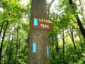 Ode to Bag Lady...she would have NOT been happy with this part of the AT!