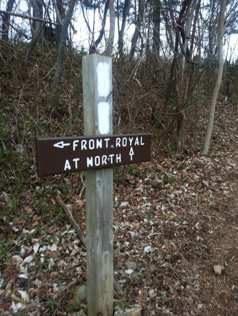 Stepping on the trail just after dawn.