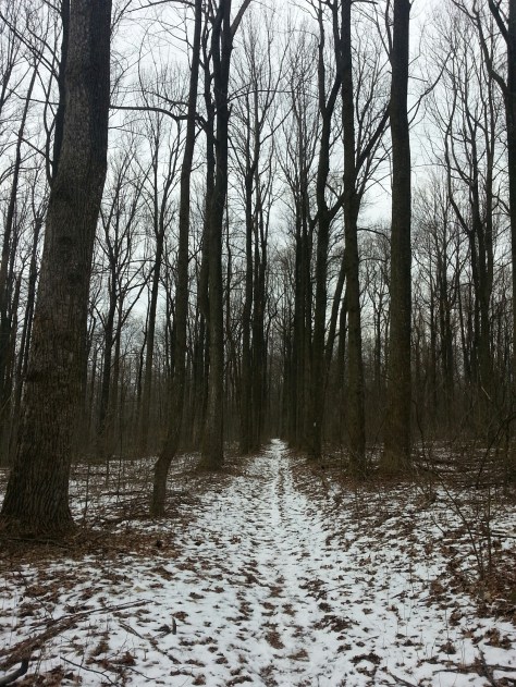 Walking back through the snowy woods.
