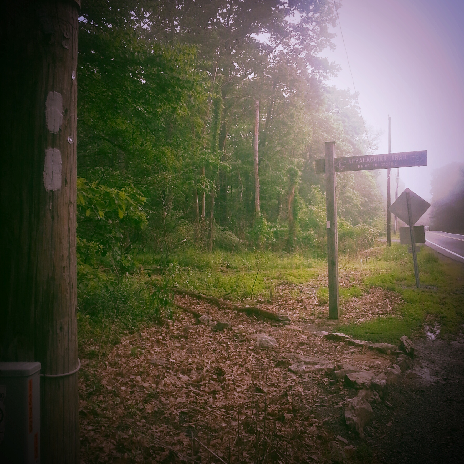 wpid-img_20150528_094634.jpg image