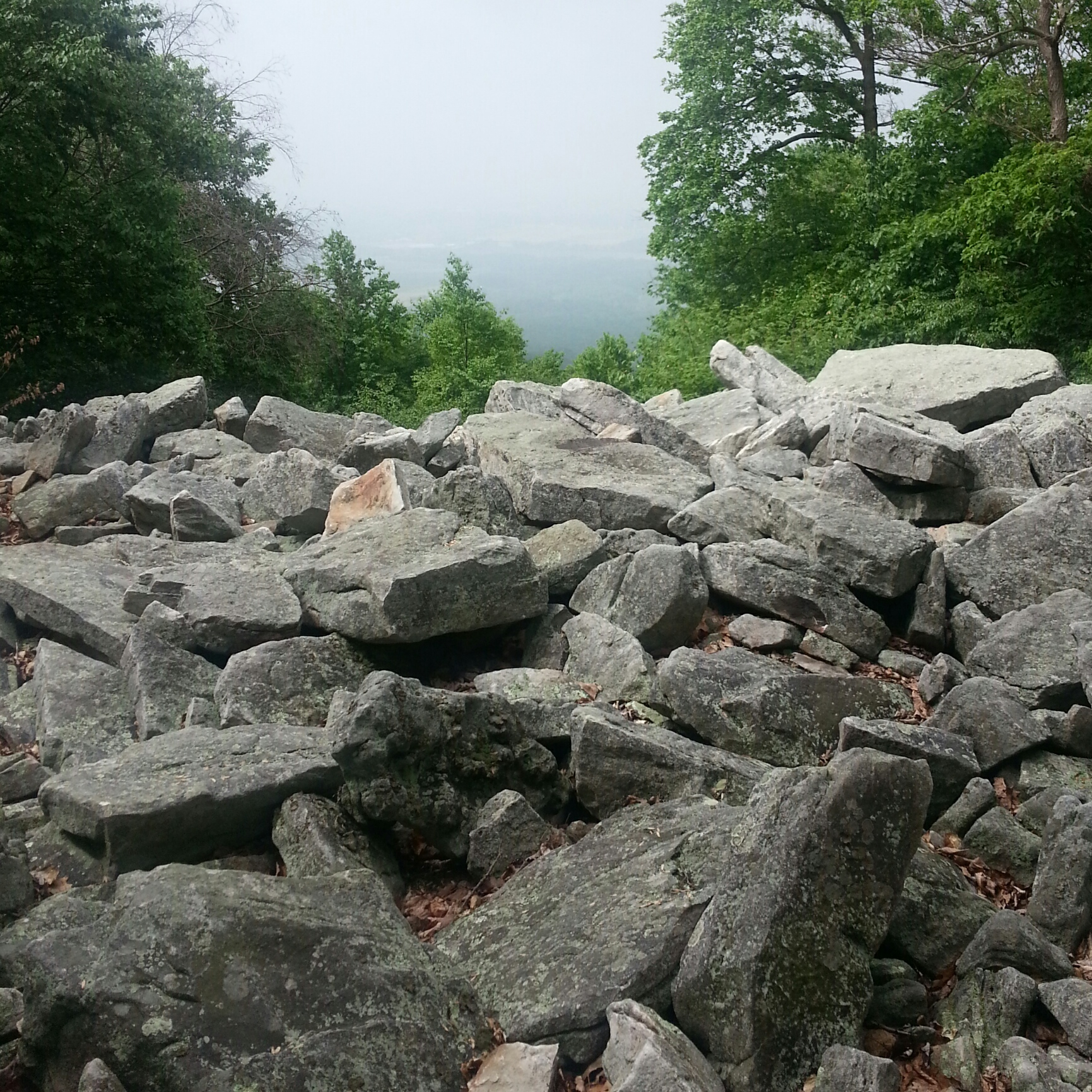 wpid-img_20150528_094955.jpg image