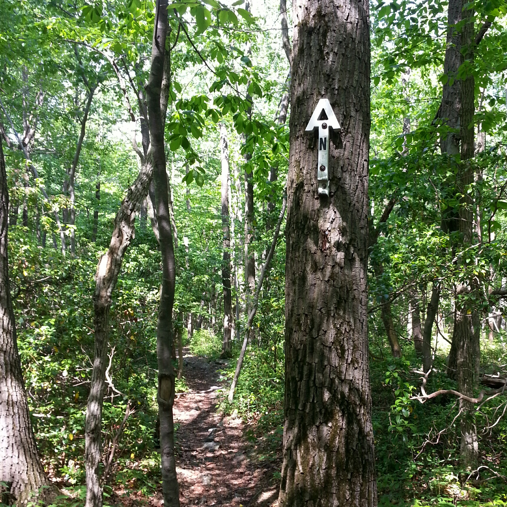 wpid-img_20150528_100221.jpg image