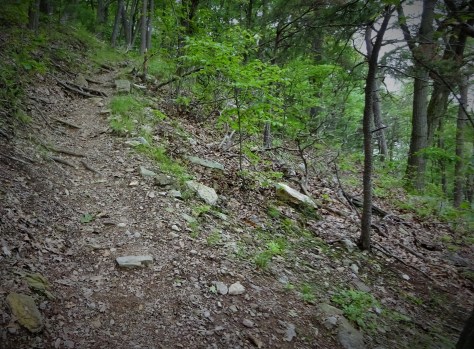 Climbing Blue Mountain