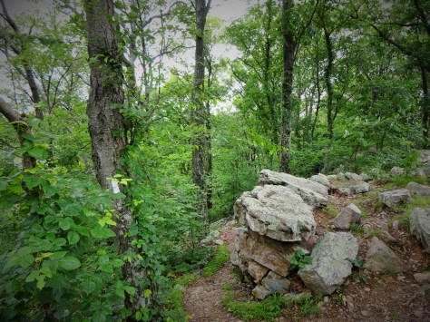 Descending around the rocks