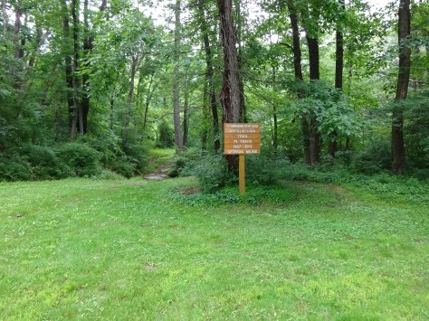 Windsor Furnace Area