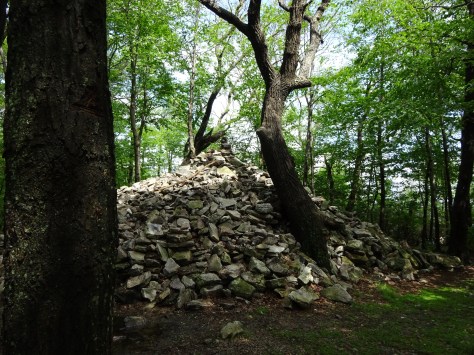 Rock Pile at the Pinnacle