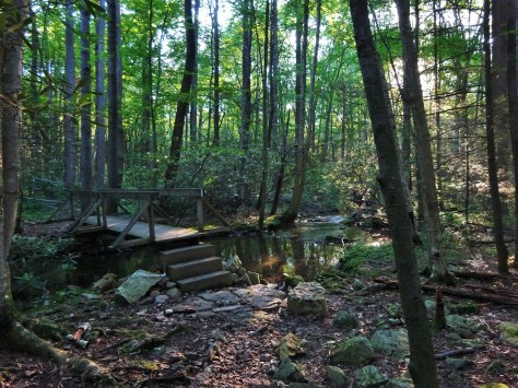 Cute little bridge crossing this morning. 