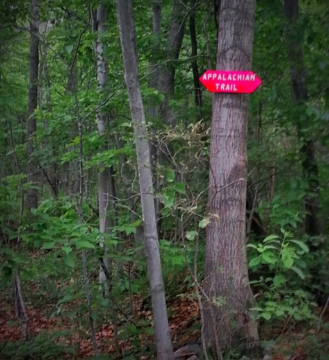 Intersection of the Gameland Road and AT...right turn and off we go!