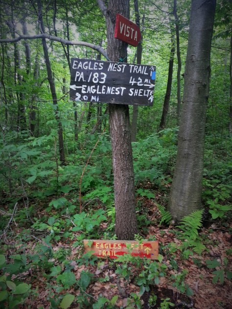 Only another two miles until the shelter!  