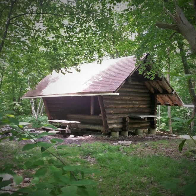Eagles Nest Shelter has windows and gutters!