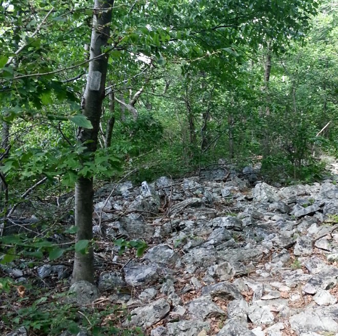 Now this ... this is one of the REALLY rocky sections! :)