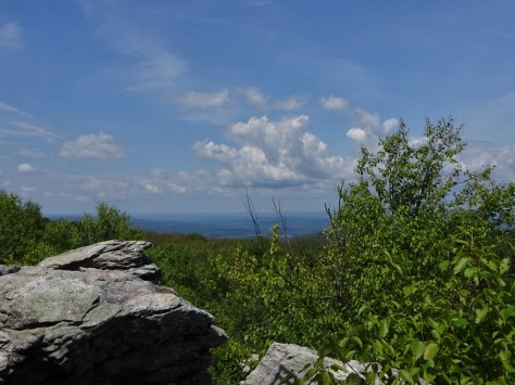 Beautiful Day for a long hike!
