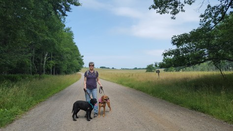 Little Caesar with Farmdog Jett & Sidekick Pauli 