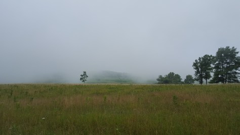 Myterious? Melancholy? Fog settles over Big Meadows