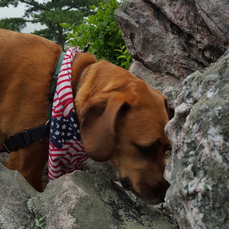 No view at White Rock so Sidekick Pauli is searching for...?