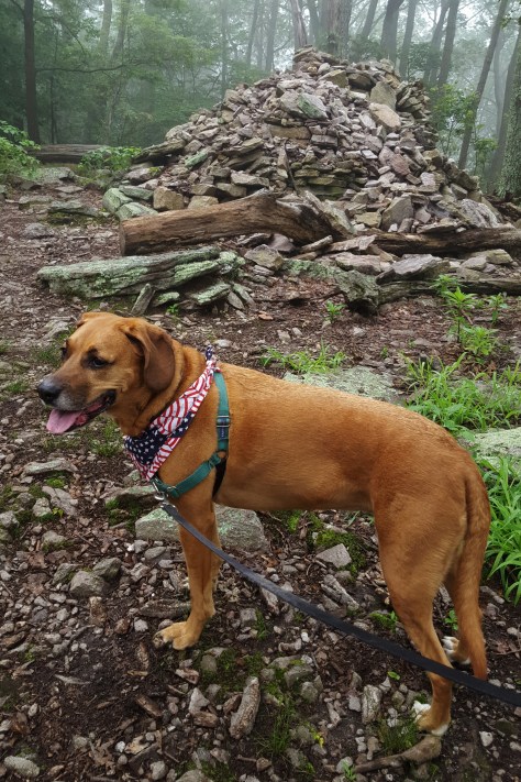 Lesser Summit 1015 feet