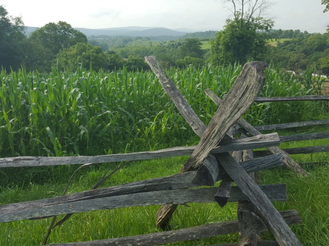 Good Morning Mountains!