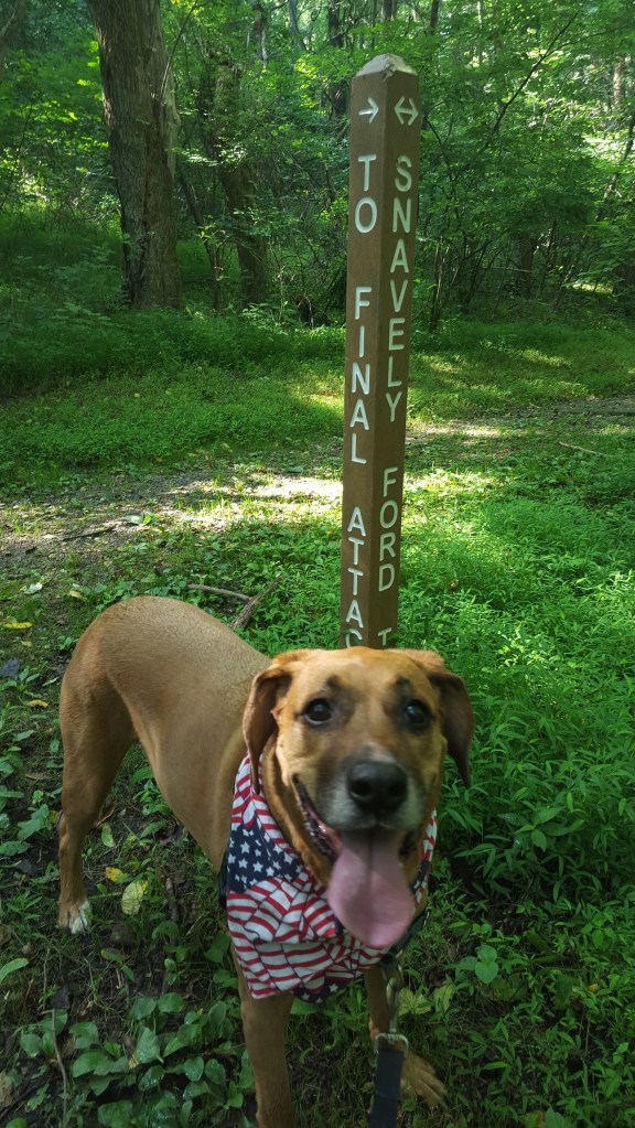 Sidekick Pauli's Saturday Smile!