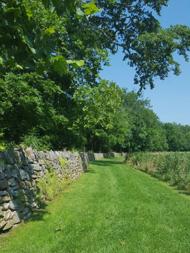 Beginning of Sherrick Farm Trail