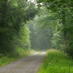 Walking down the road to Rapidan