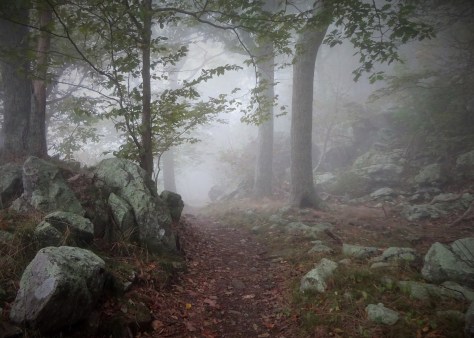 This was going to make that Mom like her hike again! Did I just walk into a fairytale?