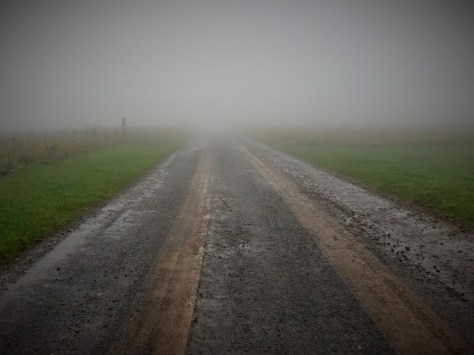 Walking into the Meadow on the Rapidan Fire Road.