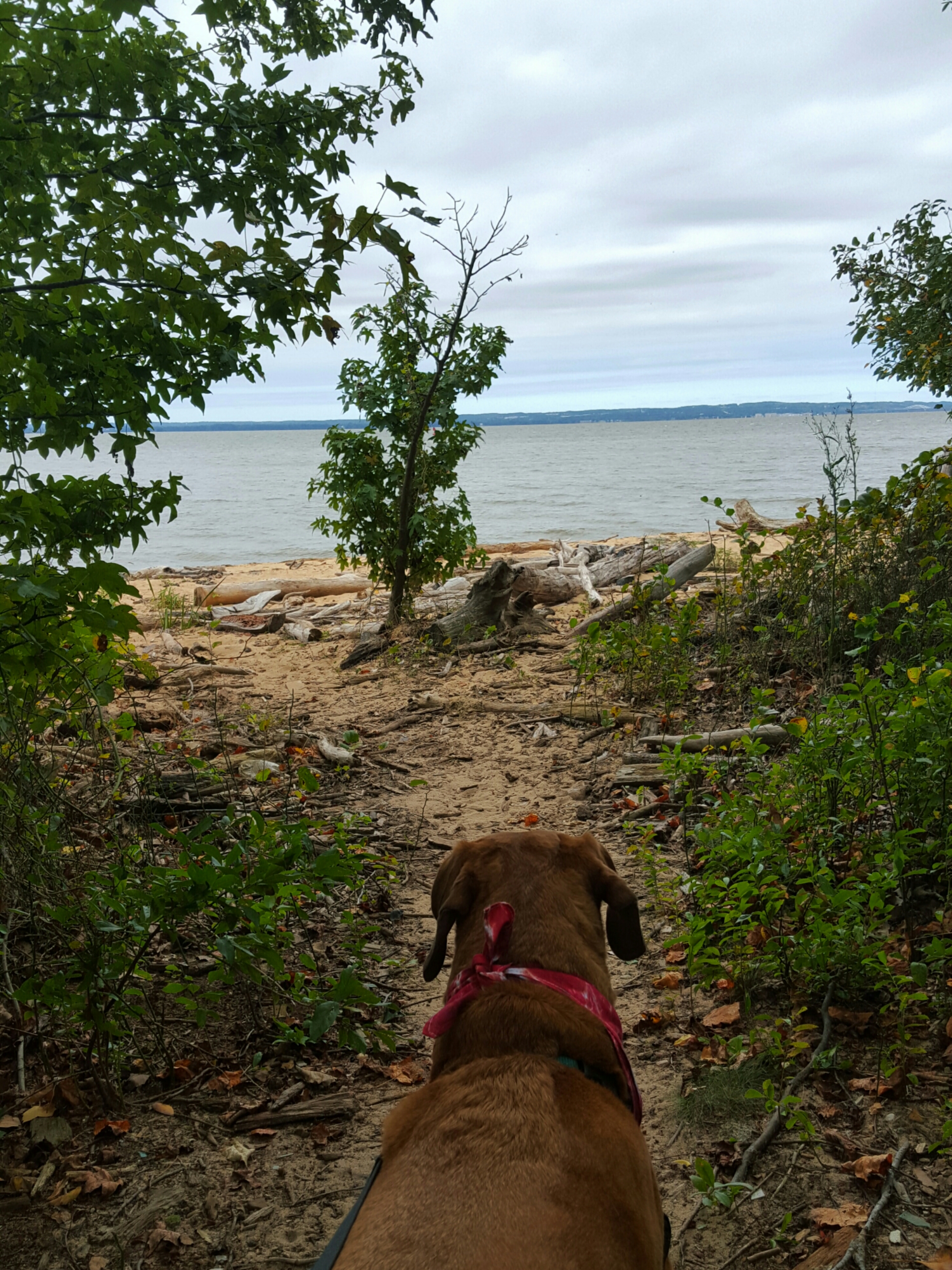 IMG_20150920_184633.jpg image