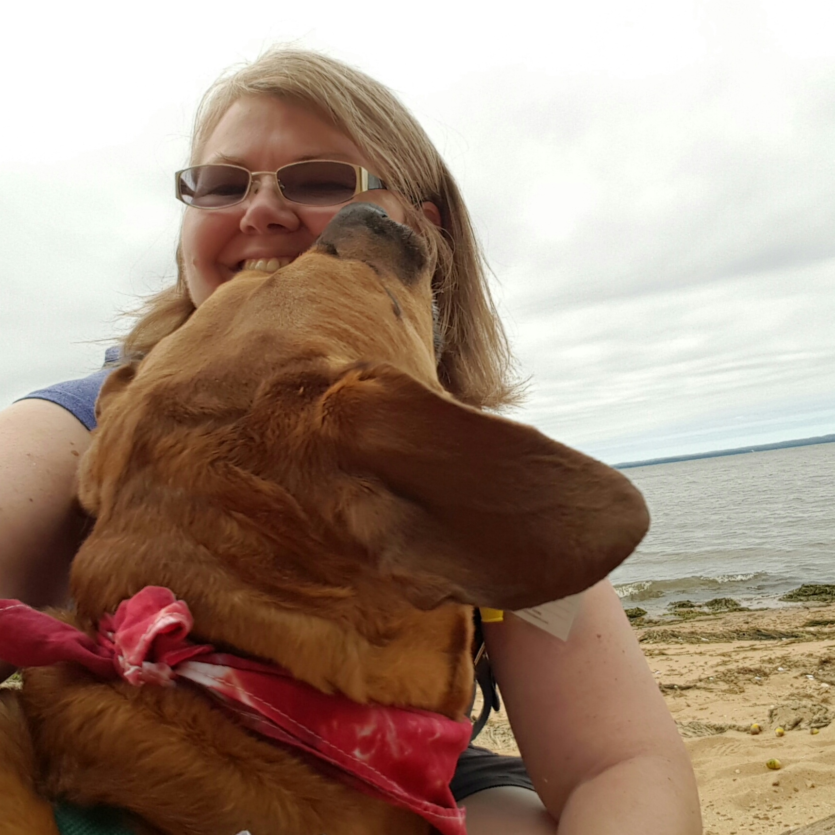 IMG_20150920_185202.jpg image