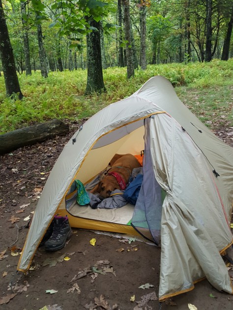 After our last hike of the day...time to relax in the den!
